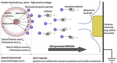 Electrohydrodynamic Drying in Agribusiness: Literature Review